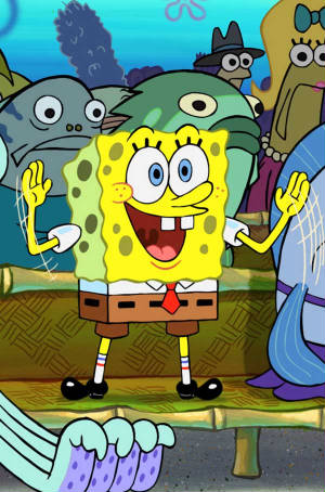 sponge.jpg